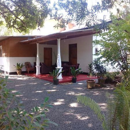Tusker'S Paradise Safari Villa Удавалаве Экстерьер фото