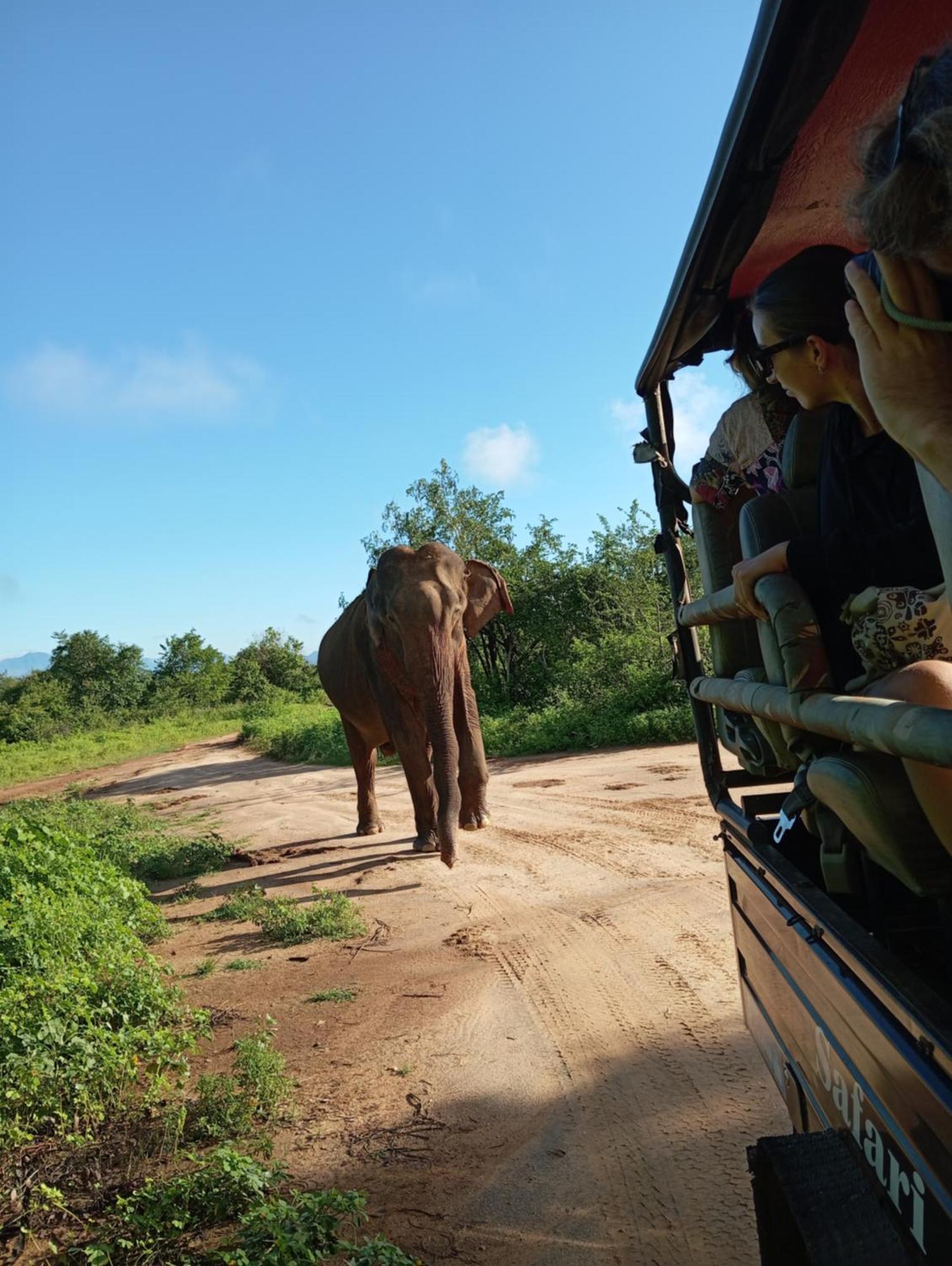Tusker'S Paradise Safari Villa Удавалаве Экстерьер фото