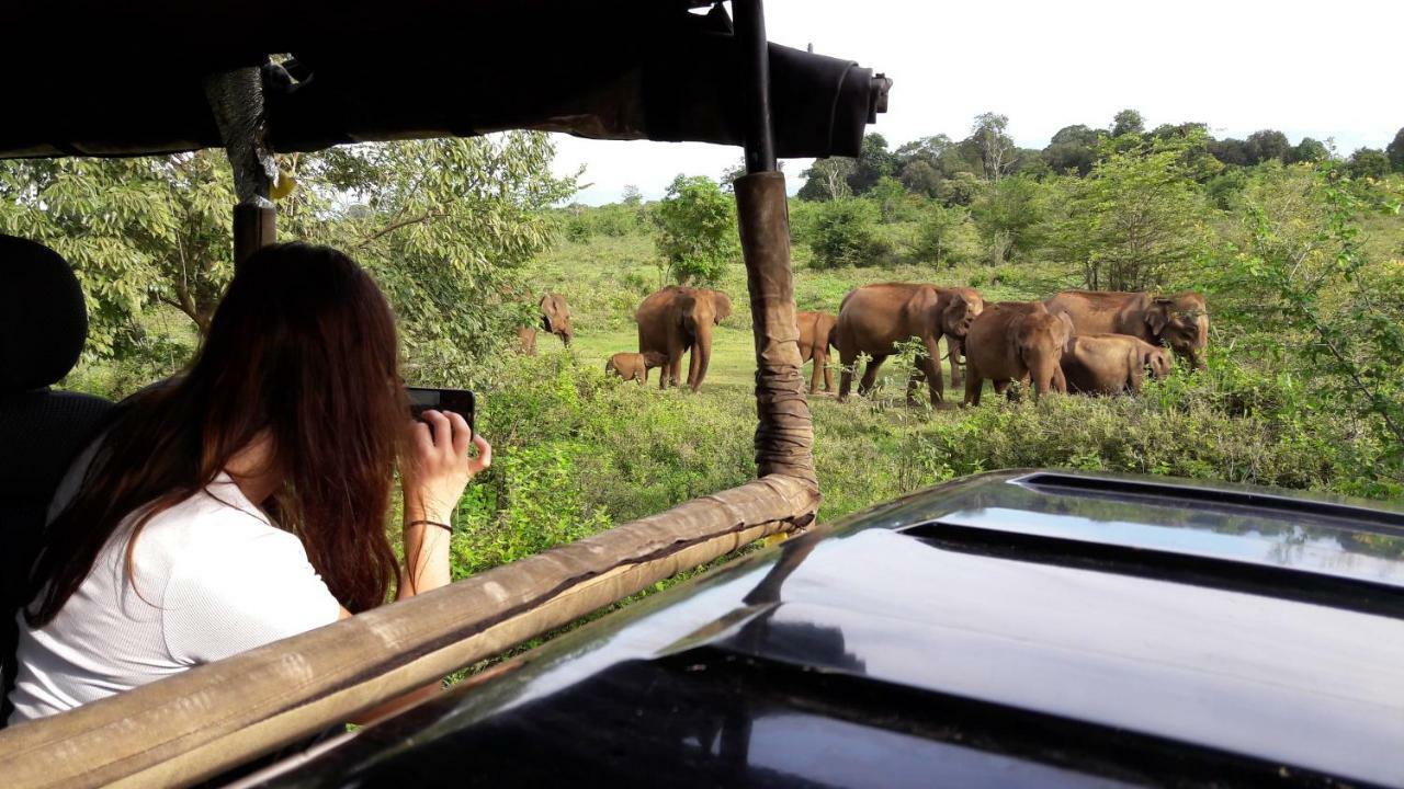 Tusker'S Paradise Safari Villa Удавалаве Экстерьер фото