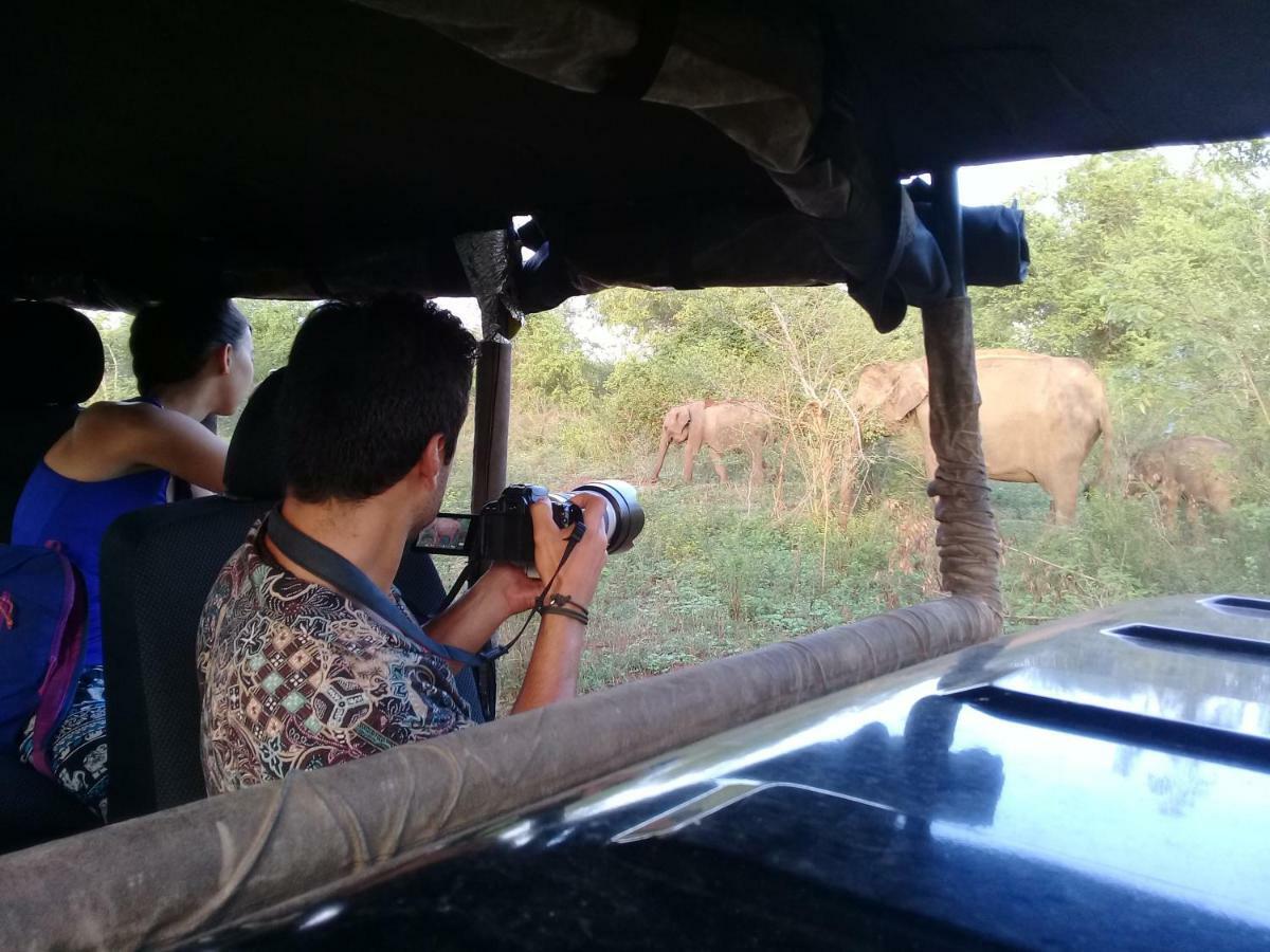 Tusker'S Paradise Safari Villa Удавалаве Экстерьер фото