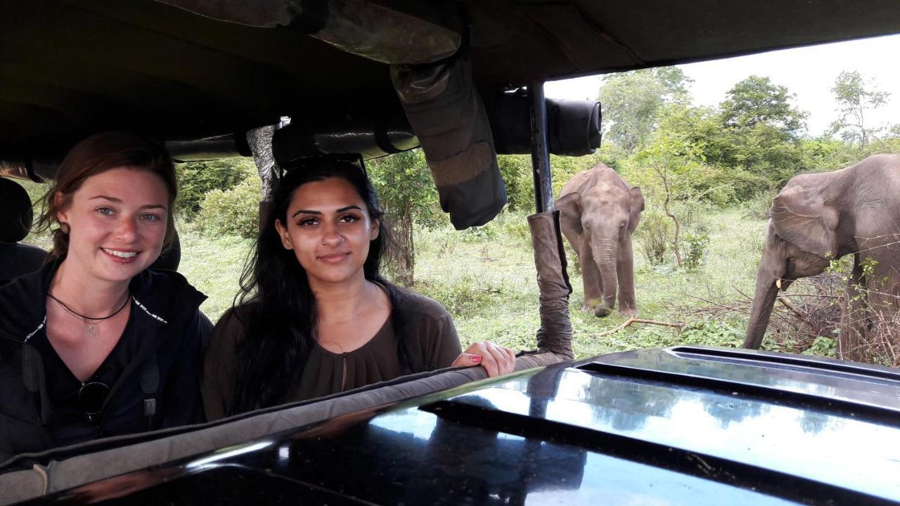 Tusker'S Paradise Safari Villa Удавалаве Экстерьер фото