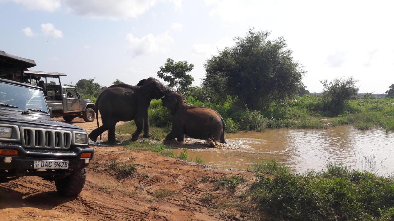 Tusker'S Paradise Safari Villa Удавалаве Экстерьер фото