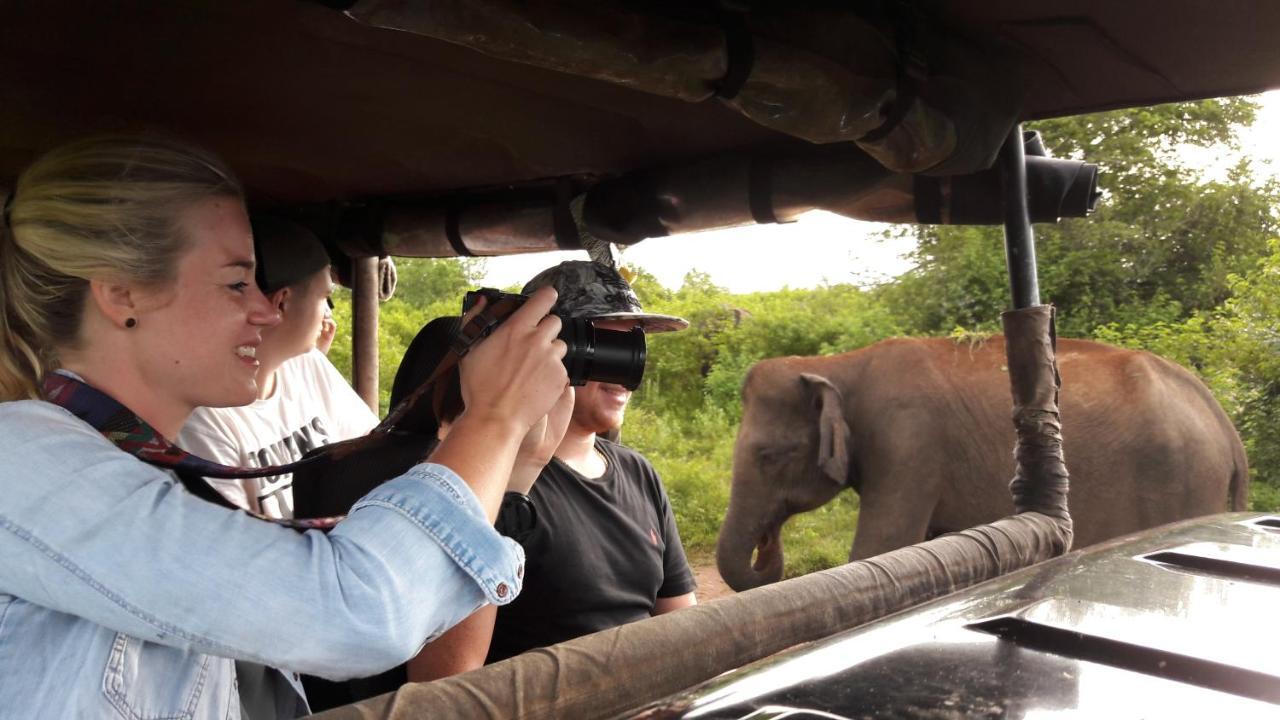 Tusker'S Paradise Safari Villa Удавалаве Экстерьер фото