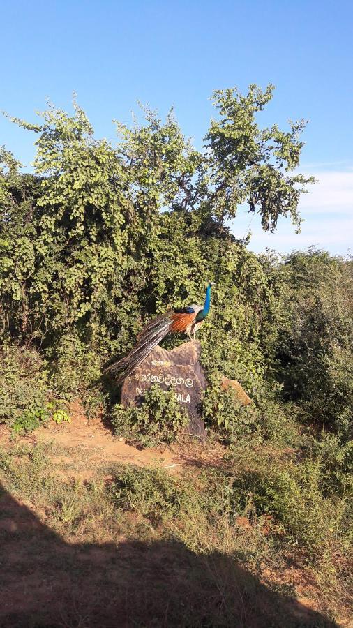 Tusker'S Paradise Safari Villa Удавалаве Экстерьер фото