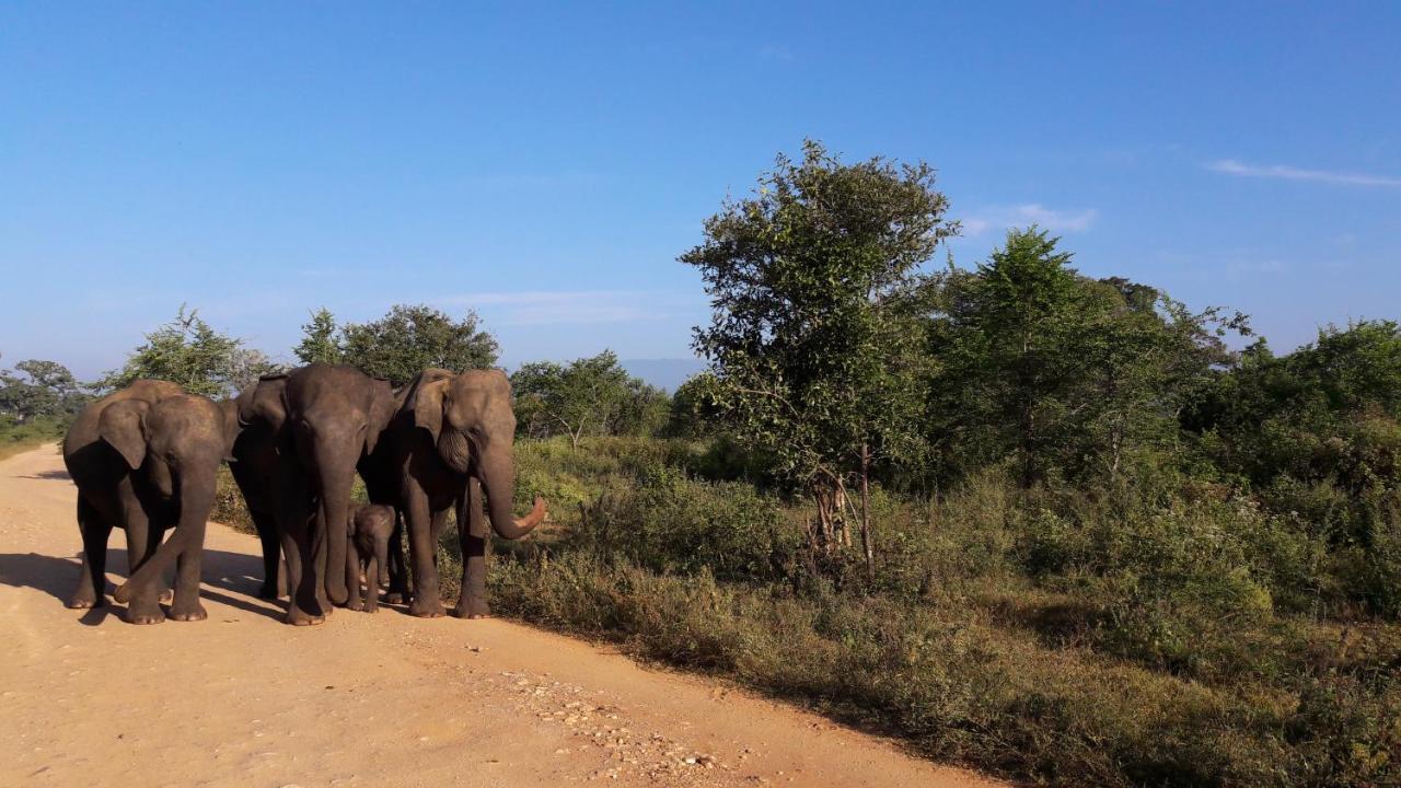 Tusker'S Paradise Safari Villa Удавалаве Экстерьер фото