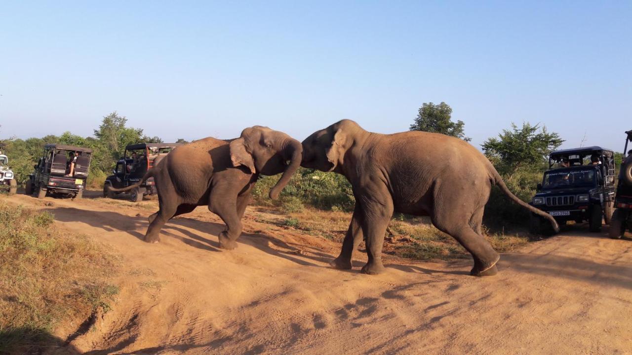 Tusker'S Paradise Safari Villa Удавалаве Экстерьер фото