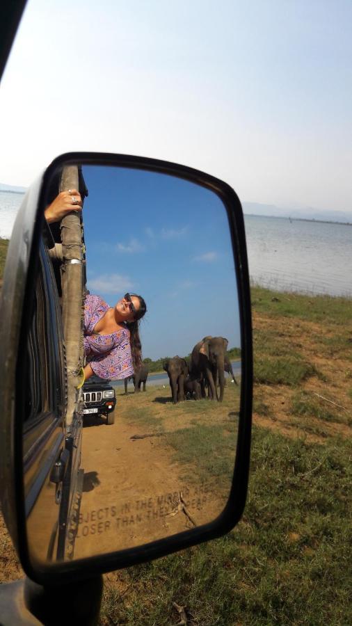 Tusker'S Paradise Safari Villa Удавалаве Экстерьер фото